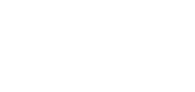 AVE Logo